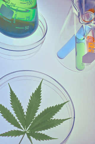 The Five Standard Types of Drug Tests Used in THC Testing - Two Hawk Extracts